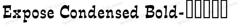 Expose Condensed Bold字体转换